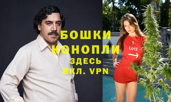 мескалин Богородицк