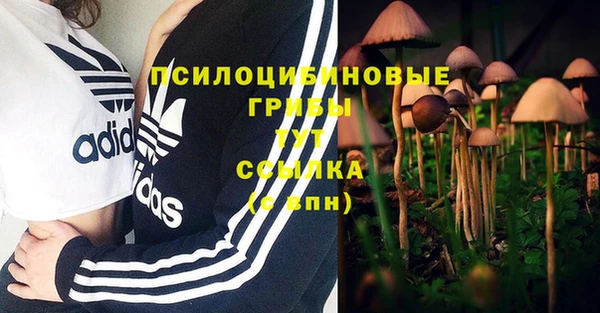 a pvp Богородск
