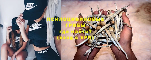 марки lsd Богданович